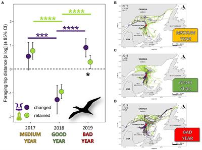 Good times bad times — Unfavorable breeding conditions, more than divorce, lead to increased parental effort and reduced physiological condition of northern gannets